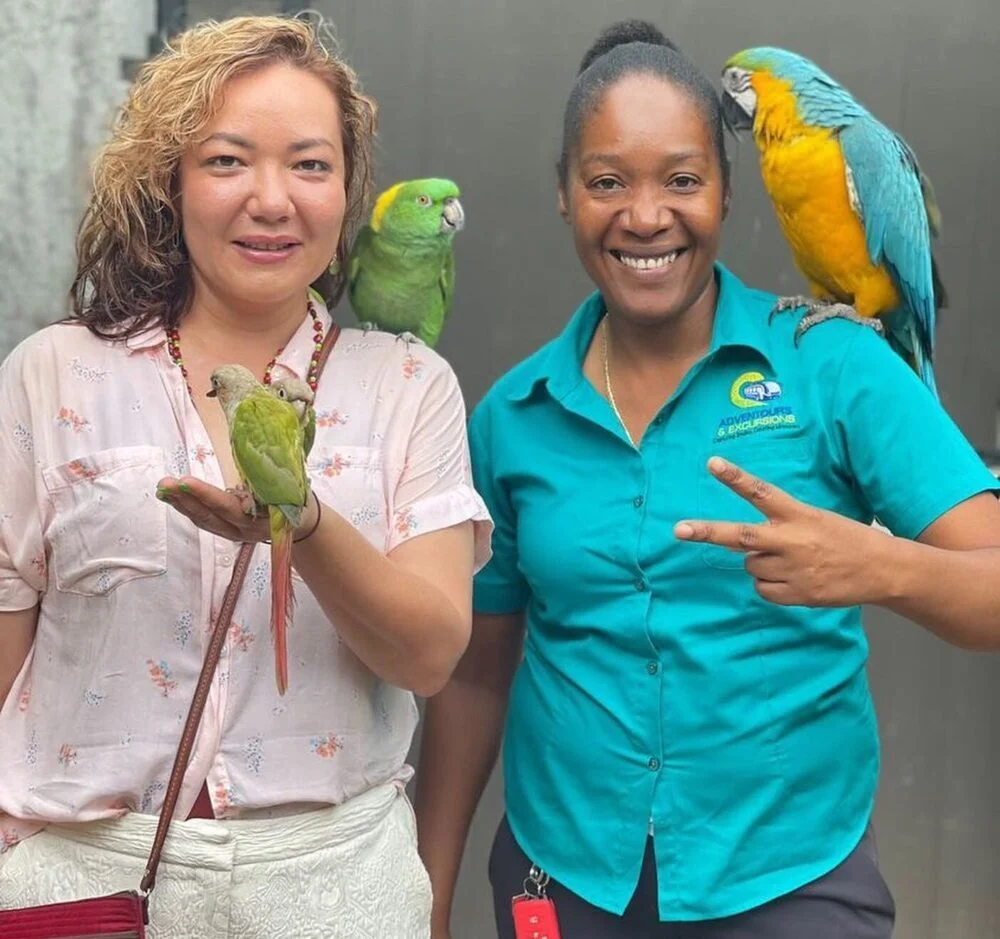 Jamaica Tour Packages