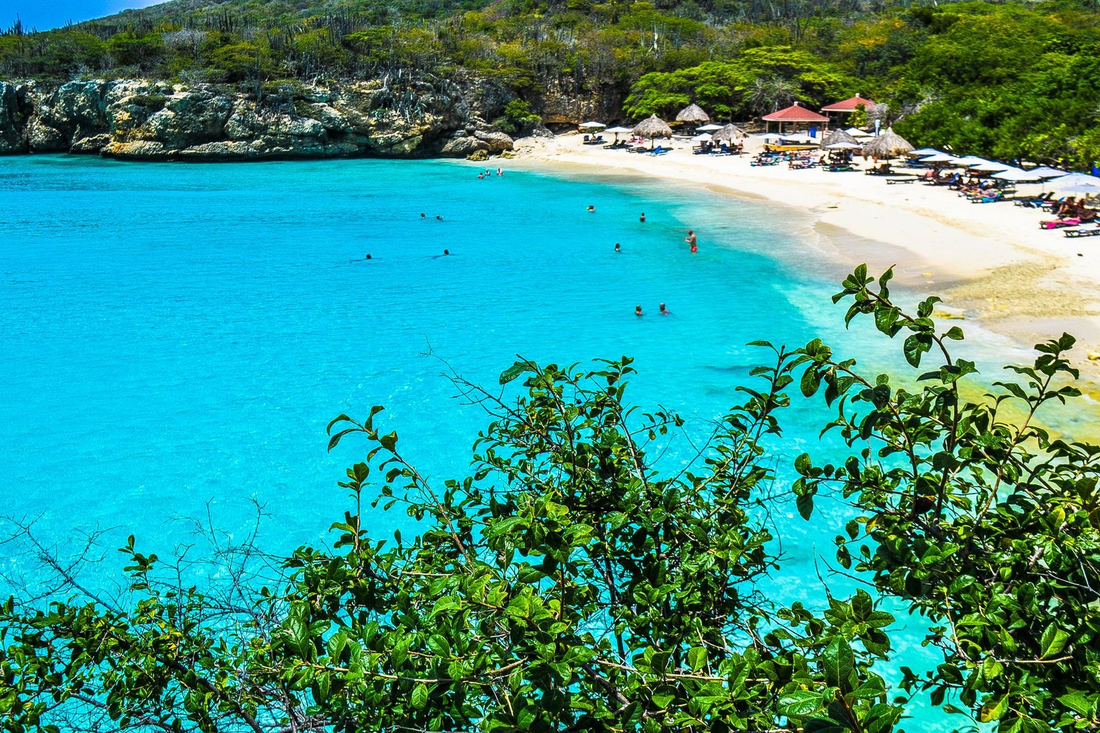 About Adventours Jamaica