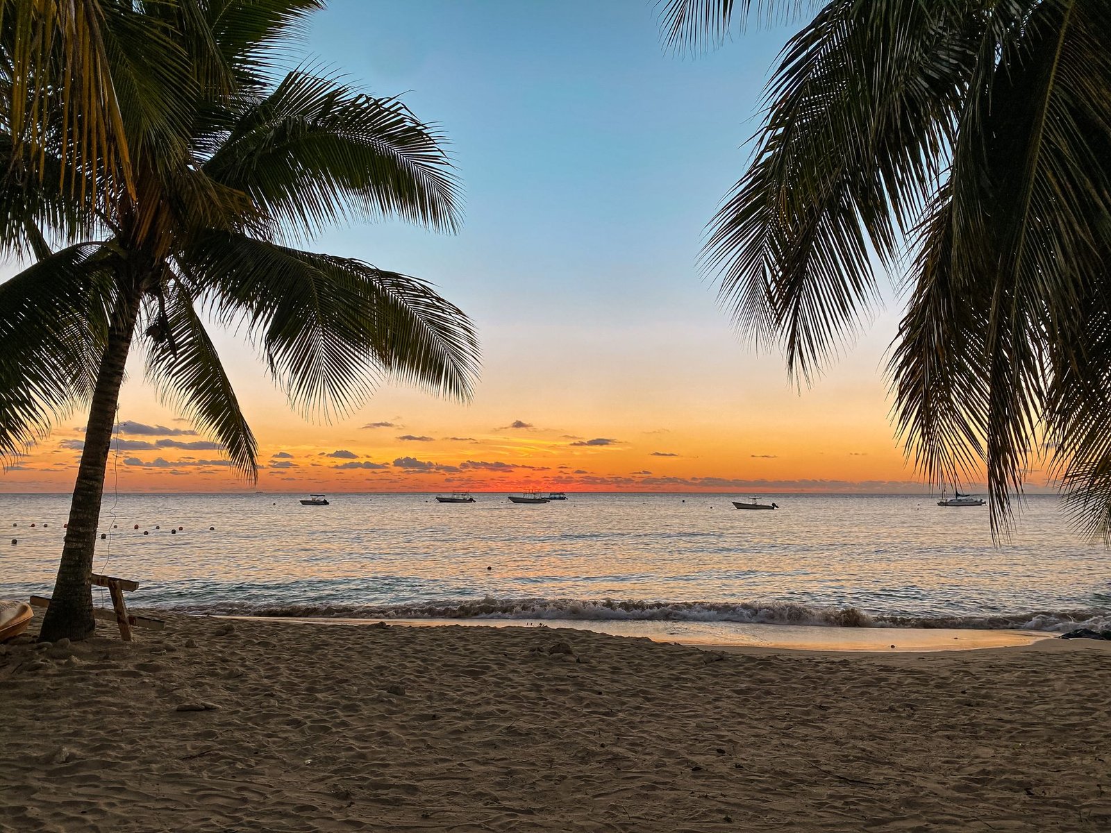 Contact Adventours Jamaica